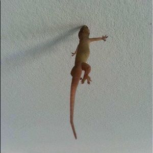 Meet your Posher, Derek